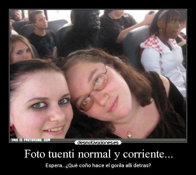 Foto tuenti normal y corriente... - Espera...¿Qué coño hace el gorila alli detras?