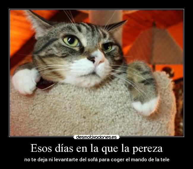 Esos días en la que la pereza -