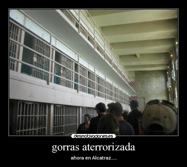 gorras aterrorizada - ahora en Alcatraz.....