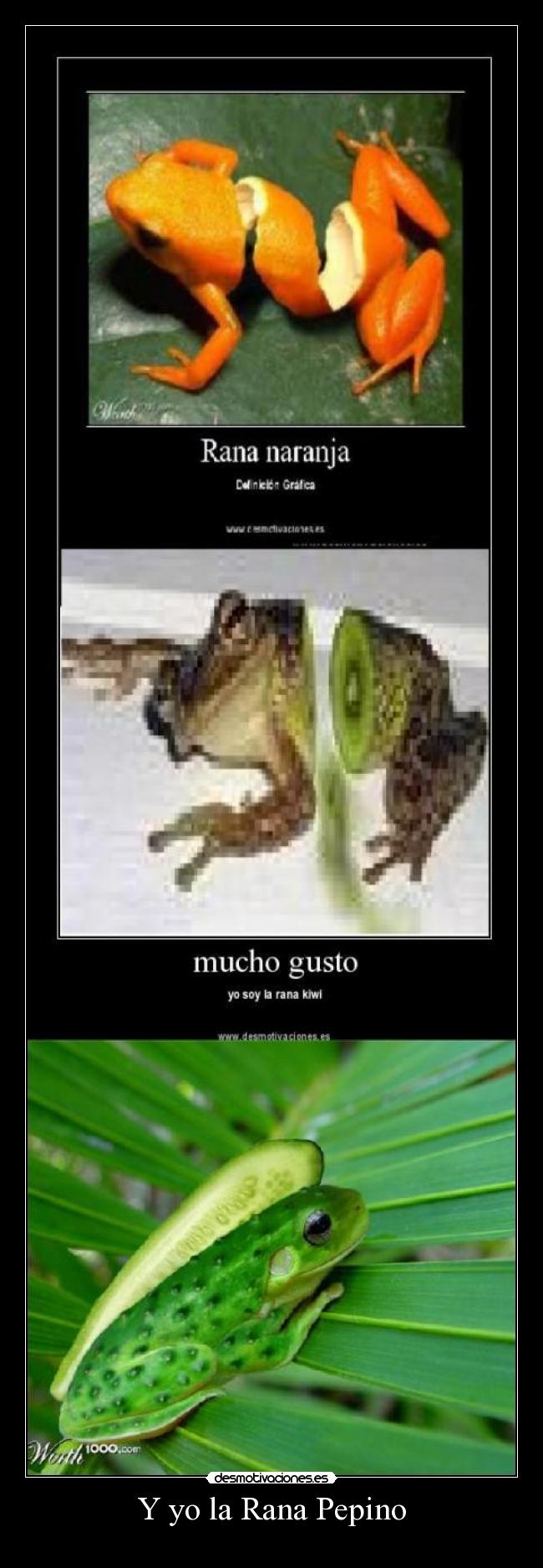 Y yo la Rana Pepino - 