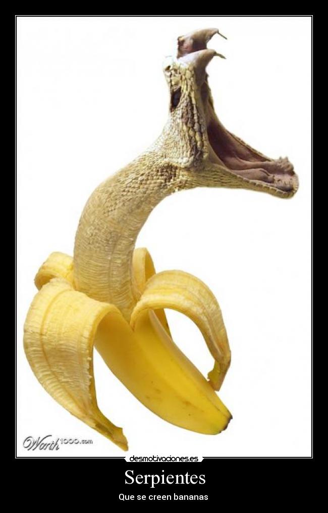 Serpientes - Que se creen bananas 