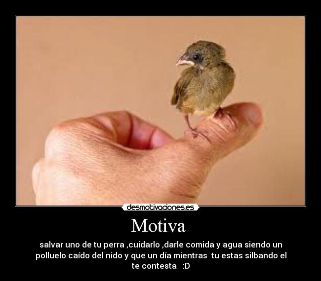Motiva -