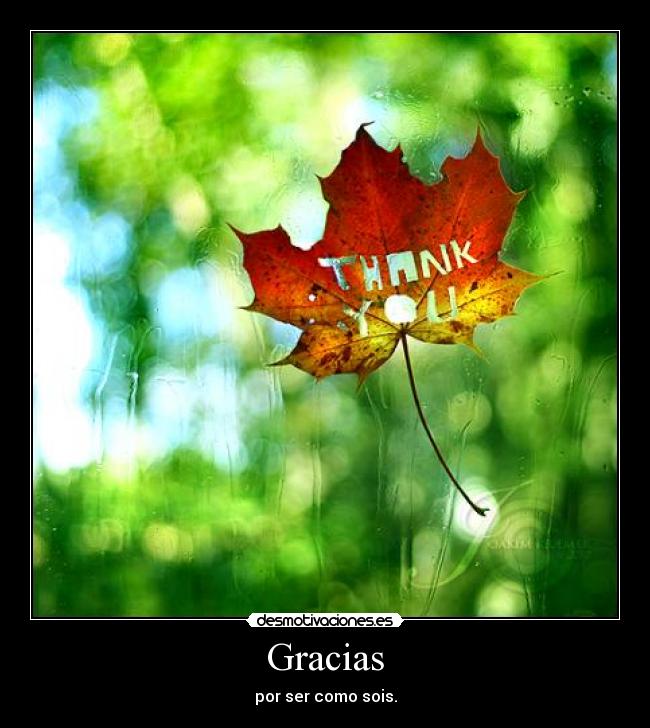 Gracias - 