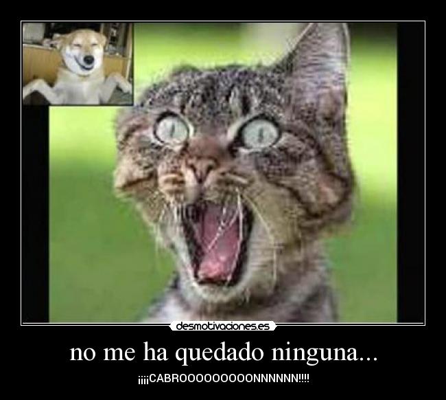 no me ha quedado ninguna... -