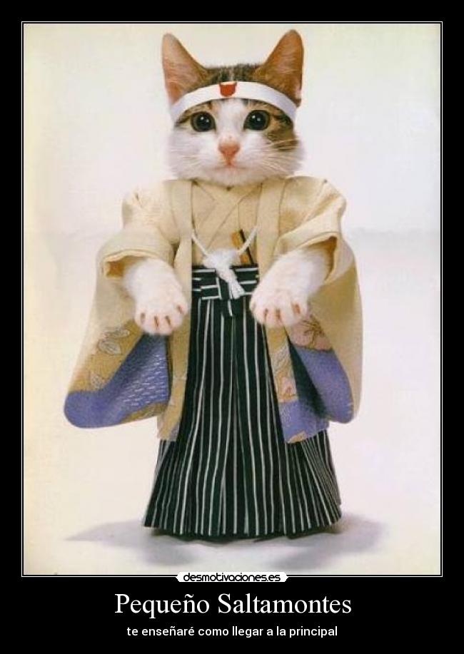 Pequeño Saltamontes -