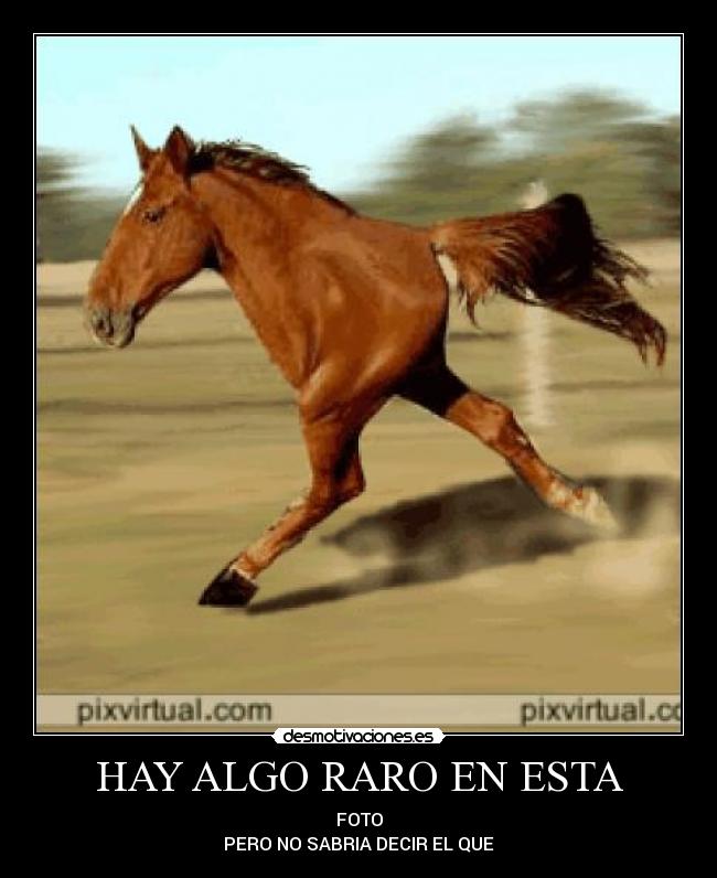 HAY ALGO RARO EN ESTA - FOTO
PERO NO SABRIA DECIR EL QUE