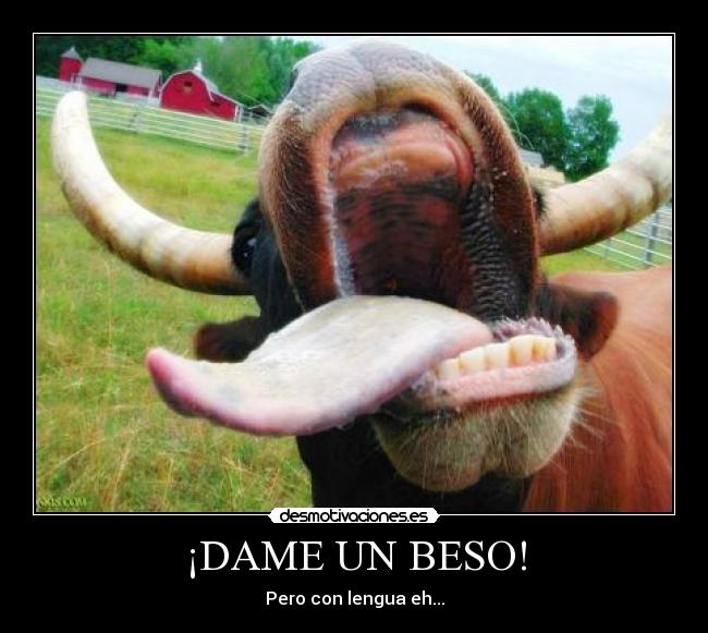 ¡DAME UN BESO! - 