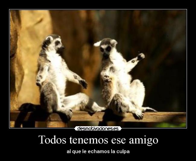 Todos tenemos ese amigo -
