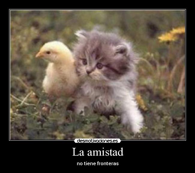 La amistad -