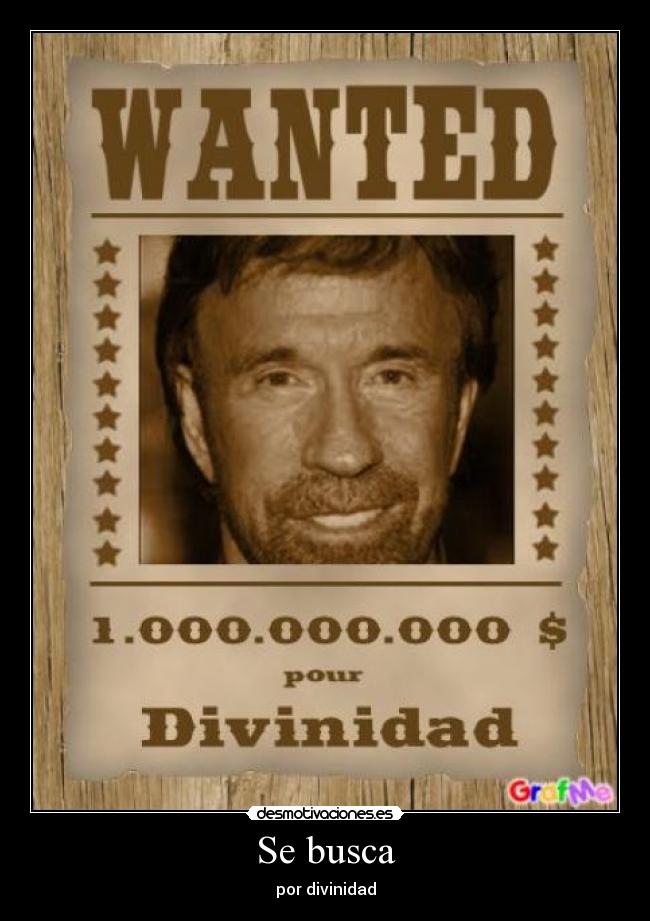 Se busca - por divinidad