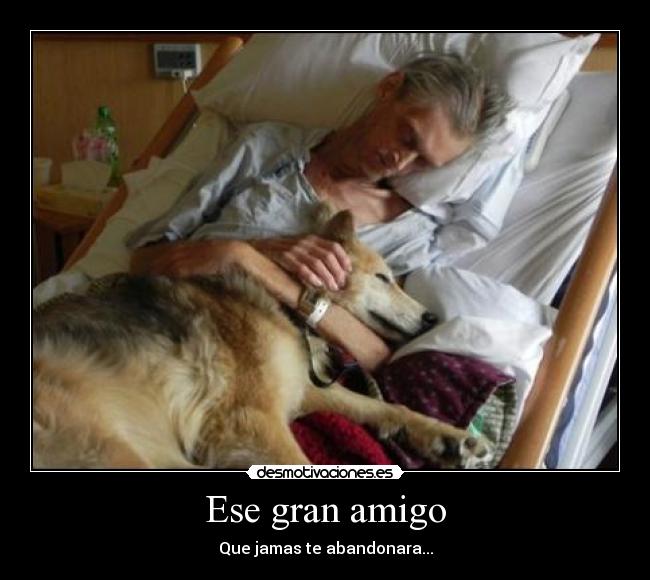 Ese gran amigo - Que jamas te abandonara...