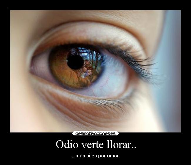 carteles odio llorar fgfds desmotivaciones