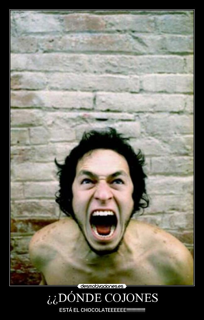 ¿¿DÓNDE COJONES -