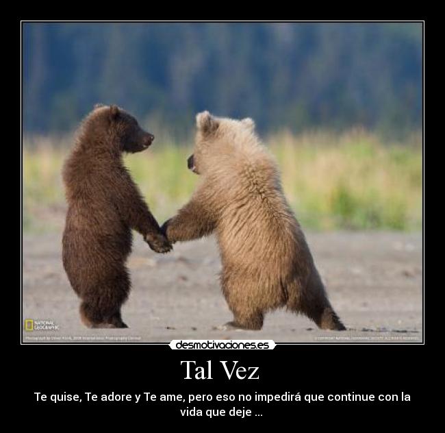Tal Vez  - 