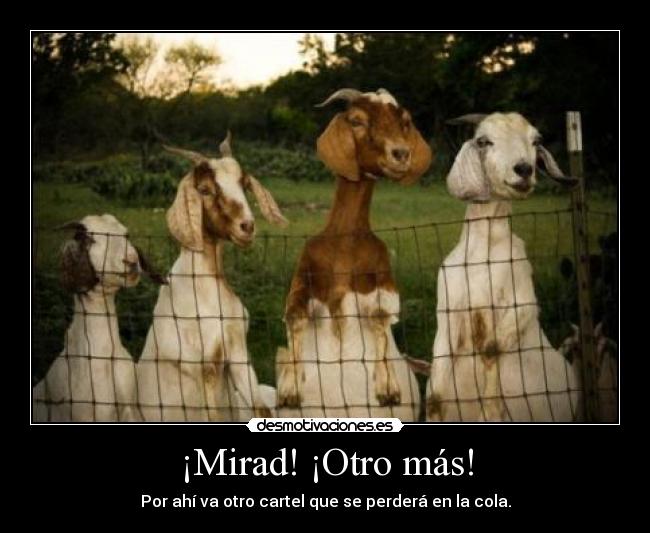 ¡Mirad! ¡Otro más! -