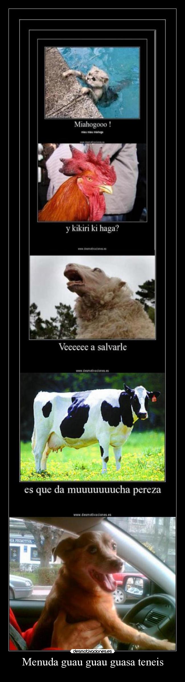 Menuda guau guau guasa teneis -