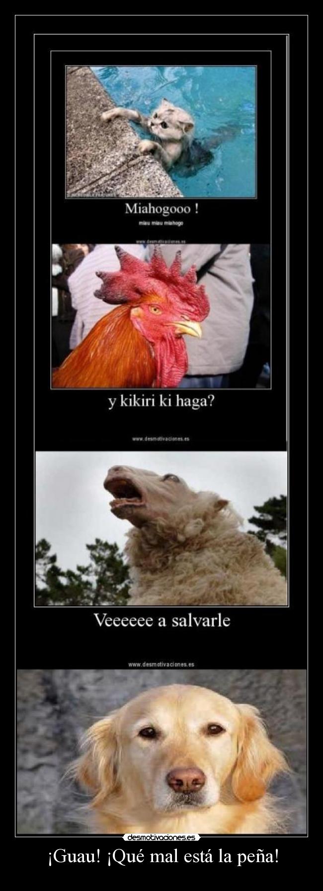¡Guau! ¡Qué mal está la peña! -