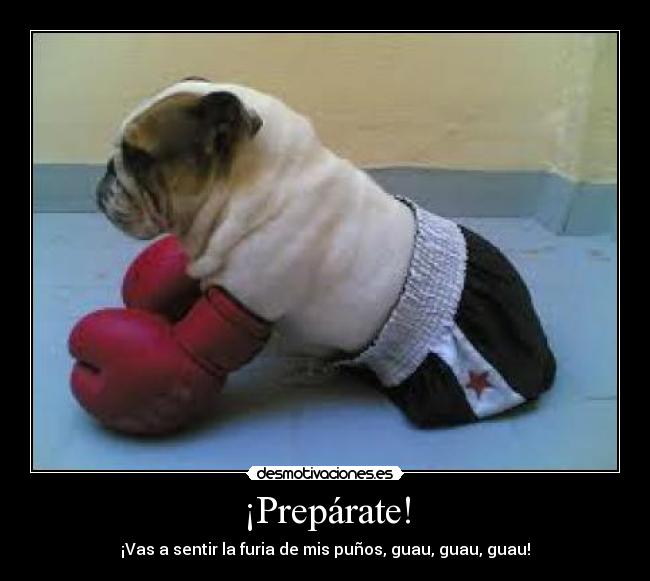 ¡Prepárate! - ¡Vas a sentir la furia de mis puños, guau, guau, guau!