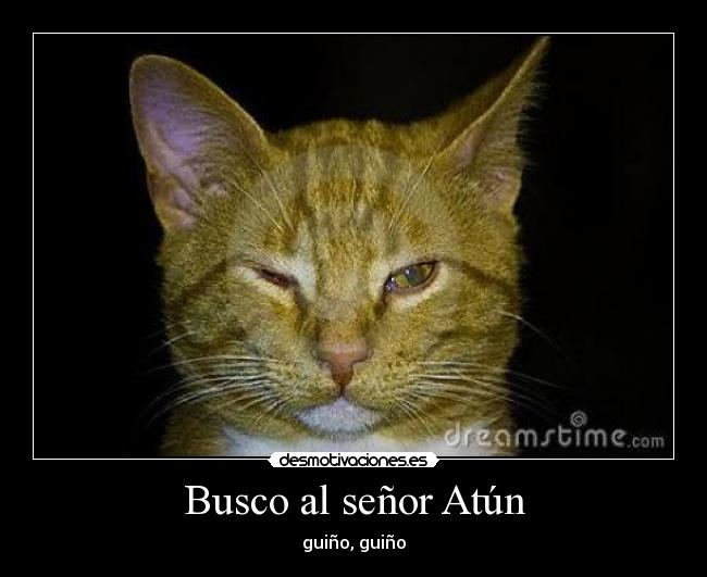 Busco al señor Atún - guiño, guiño