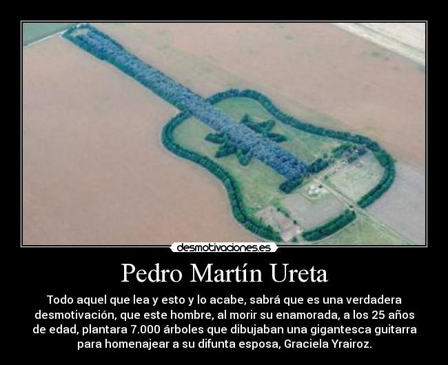 Pedro Martín Ureta - Todo aquel que lea y esto y lo acabe, sabrá que es una verdadera
desmotivación, que este hombre, al morir su enamorada, a los 25 años
de edad, plantara 7.000 árboles que dibujaban una gigantesca guitarra
para homenajear a su difunta esposa, Graciela Yrairoz.