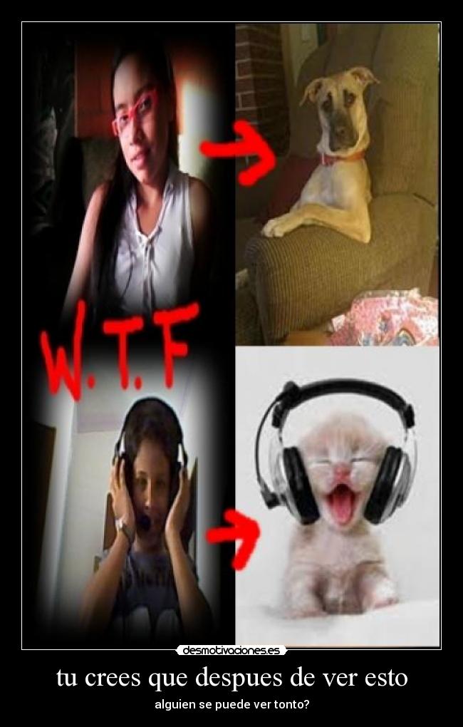 tu crees que despues de ver esto - 