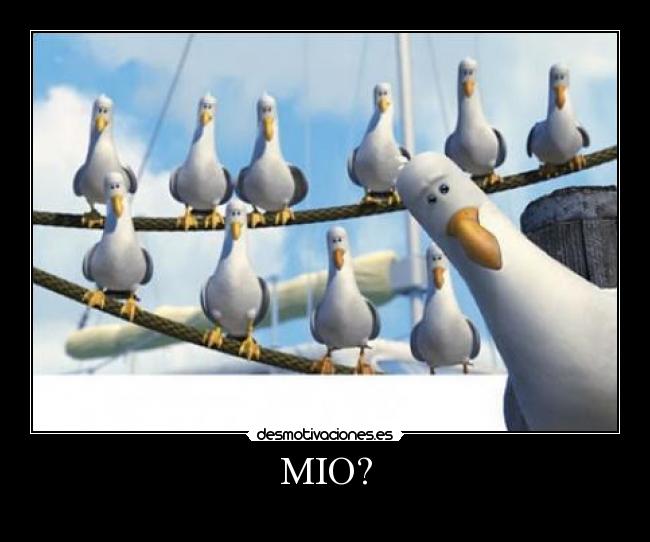 MIO? -