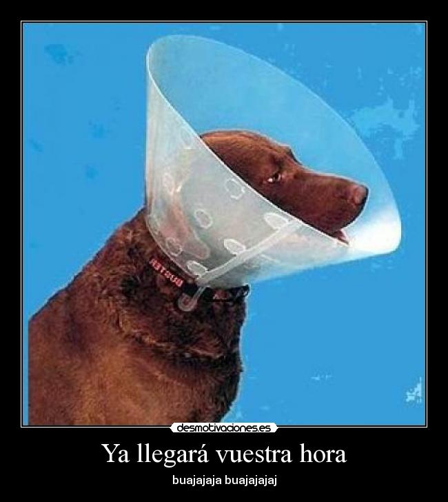 Ya llegará vuestra hora - buajajaja buajajajaj