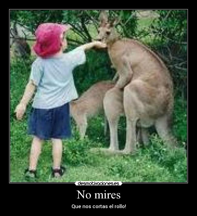 No mires - 