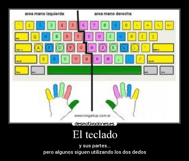 El teclado - 