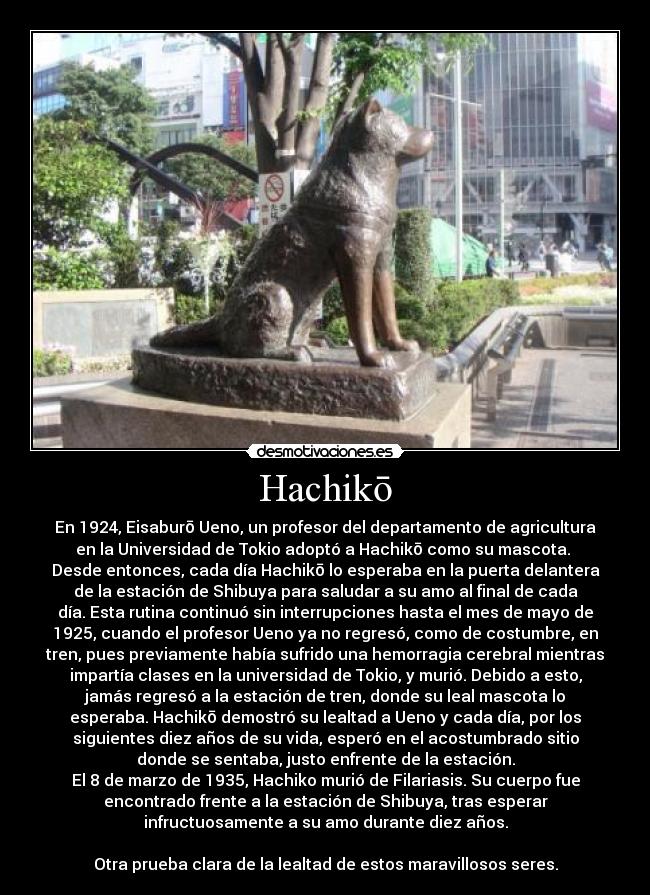 Hachikō -