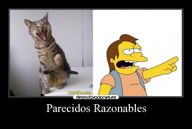 Parecidos Razonables -