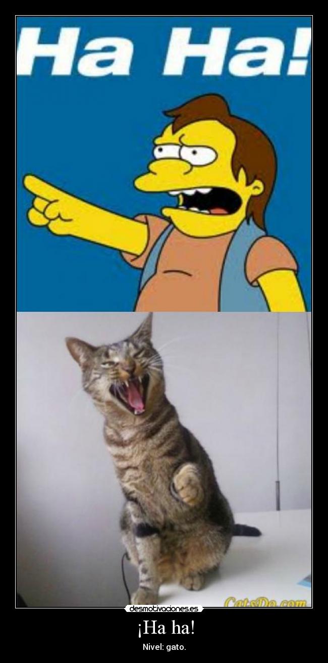 ¡Ha ha! - Nivel: gato.