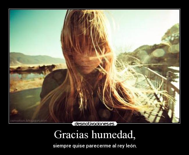 Gracias humedad, - siempre quise parecerme al rey león.