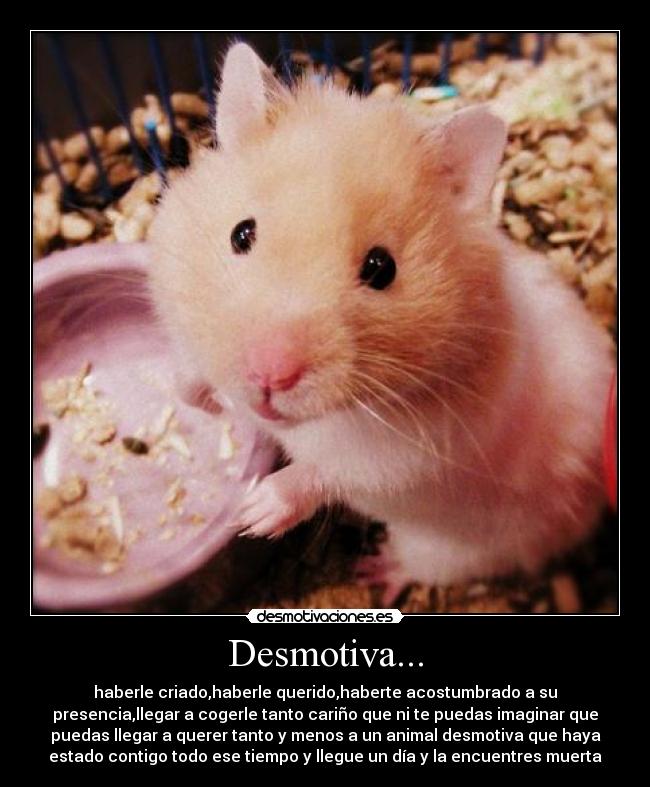 Desmotiva... -