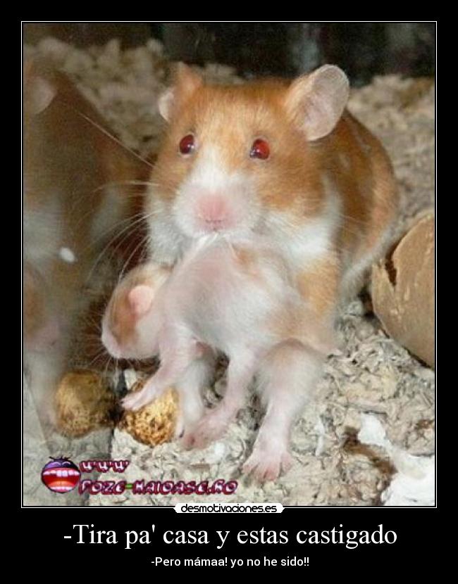 -Tira pa casa y estas castigado -