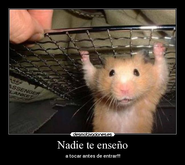 Nadie te enseño - a tocar antes de entrar!!!