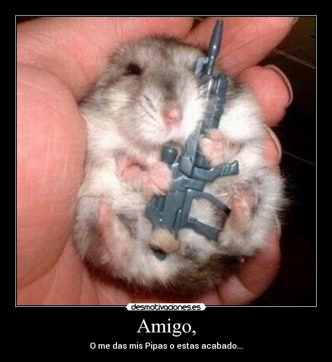 Amigo, - 