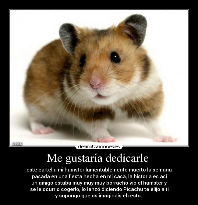 Me gustaría dedicarle  - este cartel a mi hamster lamentablemente muerto la semana
pasada en una fiesta hecha en mi casa, la historia es asi
un amigo estaba muy muy muy borracho vio el hamster y
se le ocurrio cogerlo, lo lanzó diciendo Picachu te elijo a ti
y supongo que os imaginais el resto..
