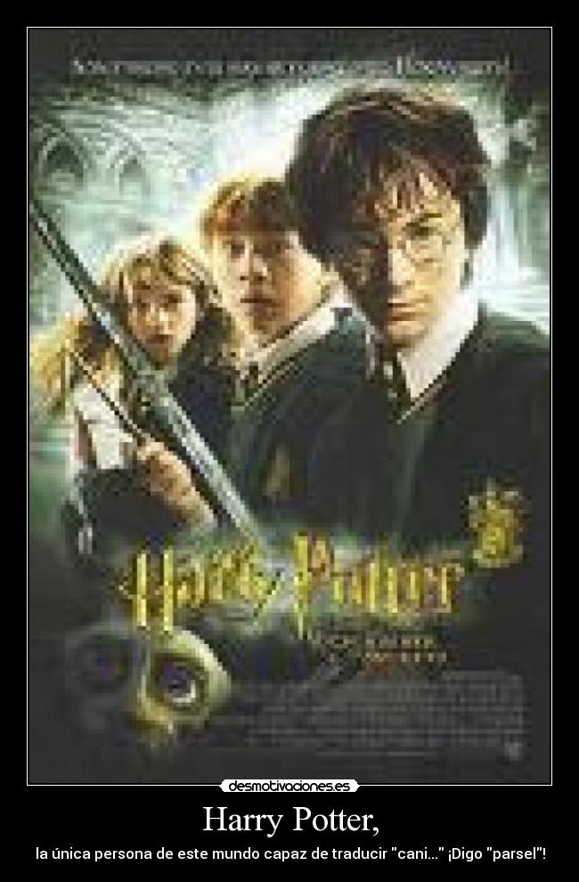 Harry Potter, - la única persona de este mundo capaz de traducir cani... ¡Digo parsel!