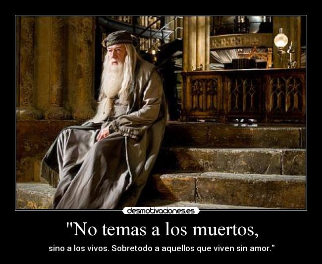 carteles dumbledore harry potter desmotivaciones