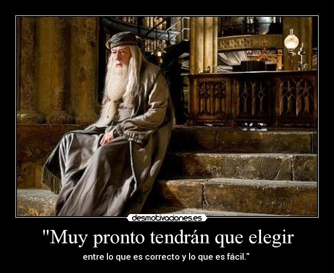 carteles harry potter desmotivaciones