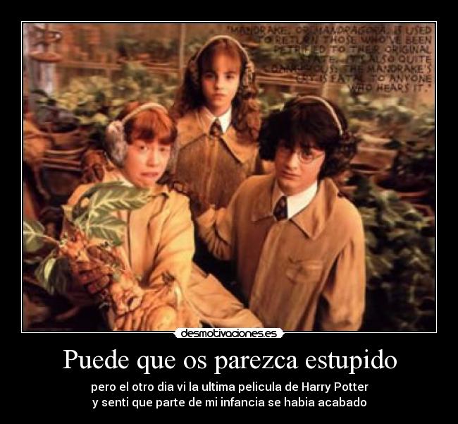Puede que os parezca estupido -