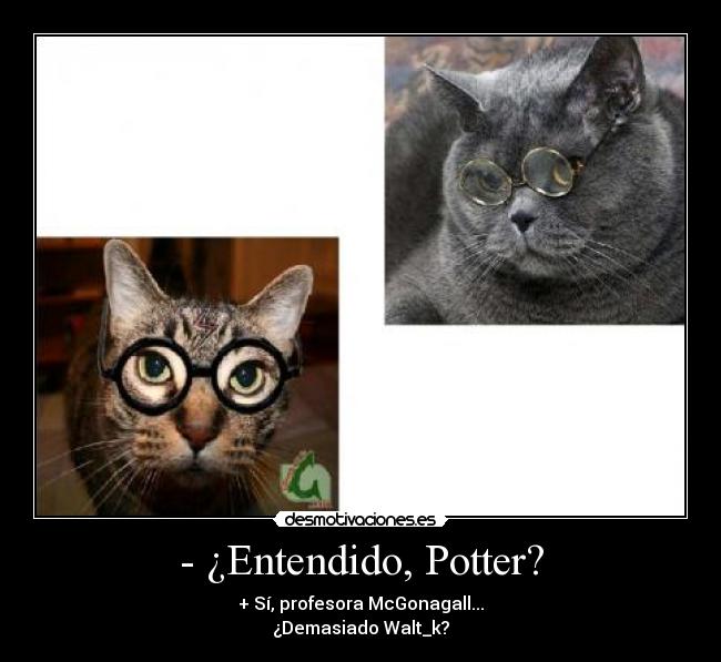 - ¿Entendido, Potter? - + Sí, profesora McGonagall...
¿Demasiado Walt_k?