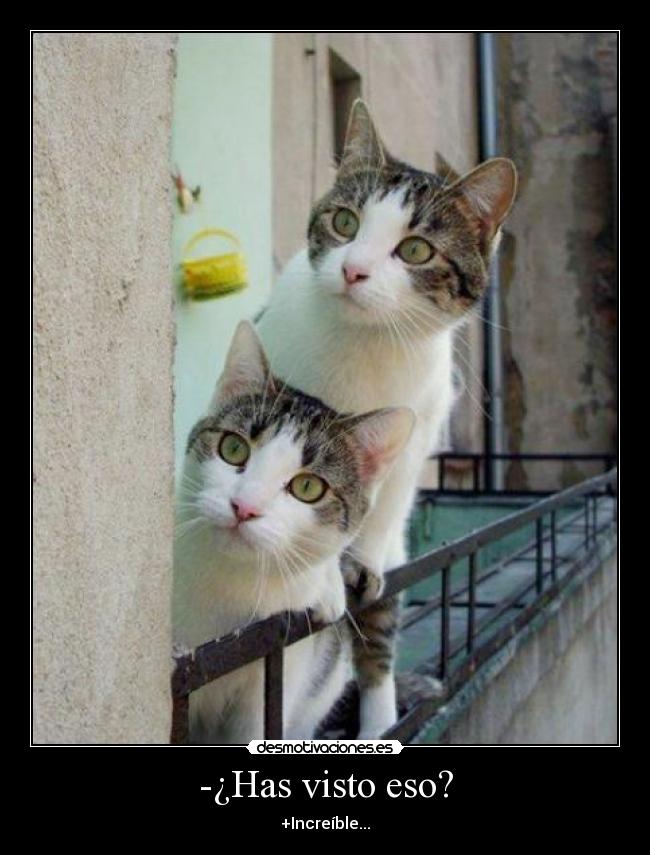 -¿Has visto eso? - +Increíble...