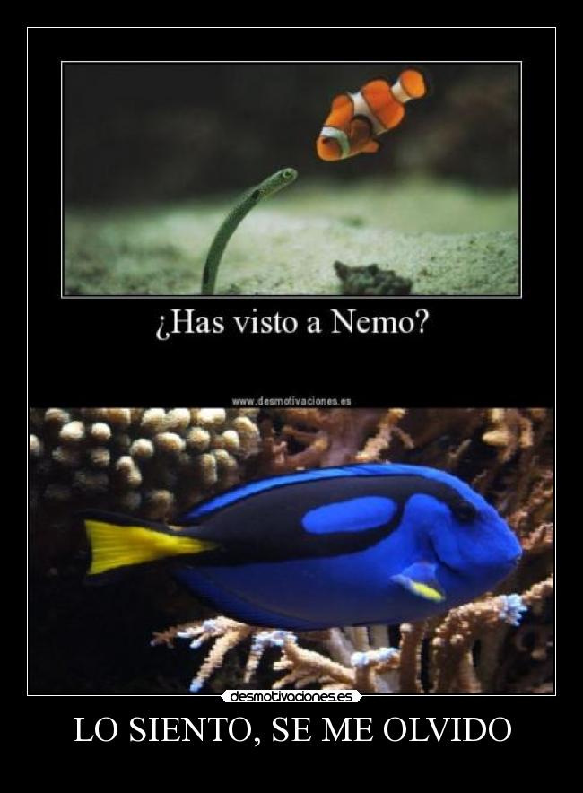 LO SIENTO, SE ME OLVIDO - 