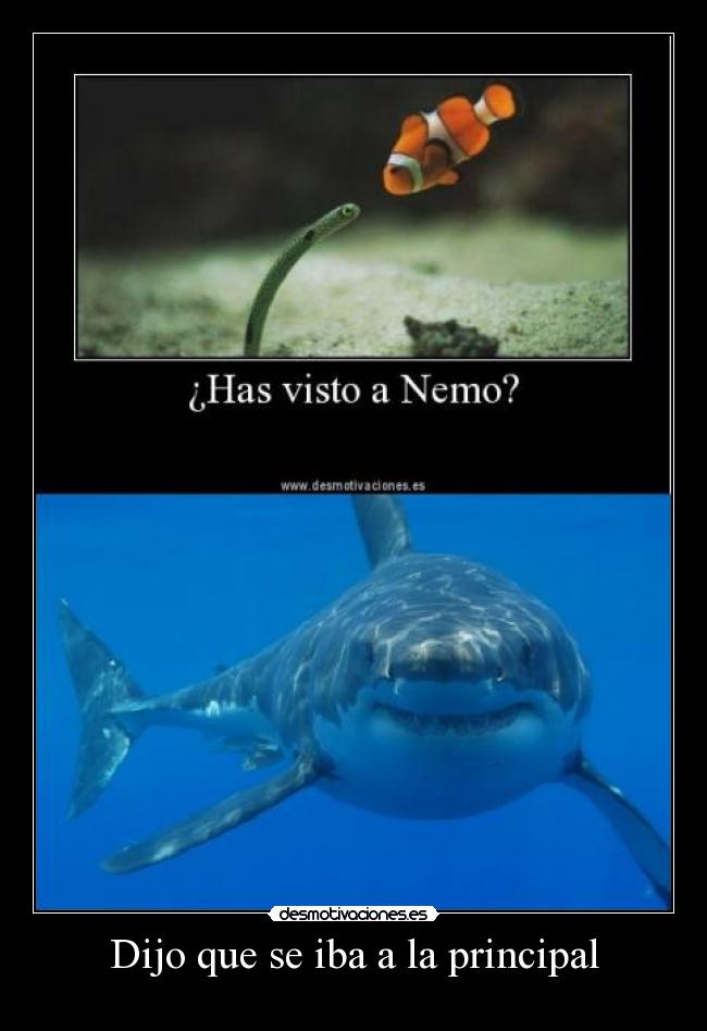 carteles dijo que iba principal desmotivaciones