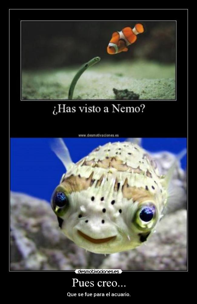 carteles nemo desmotivaciones