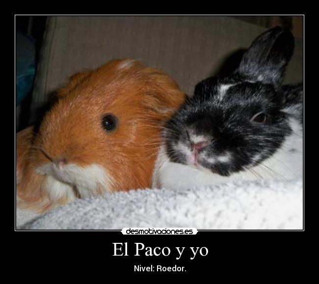 El Paco y yo -
