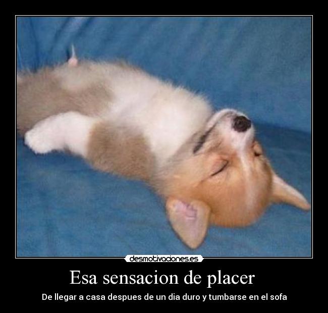 Esa sensacion de placer -