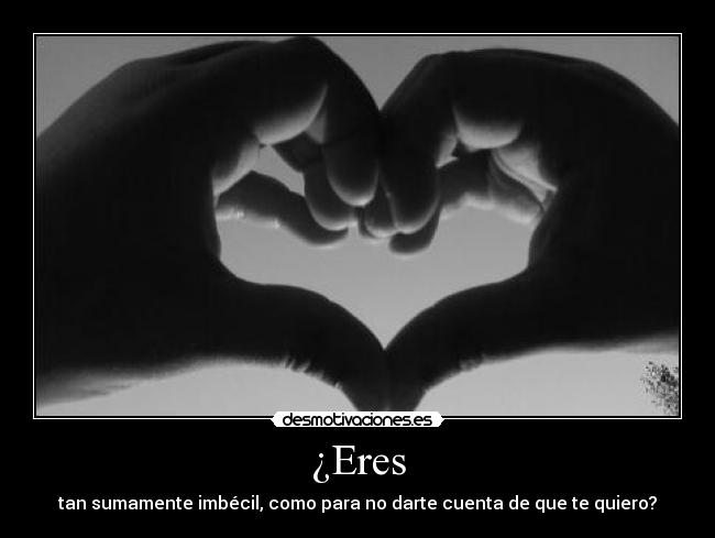 ¿Eres - tan sumamente imbécil, como para no darte cuenta de que te quiero?